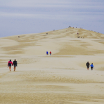 Dunes Arcachon